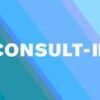 Nissan Consult 3