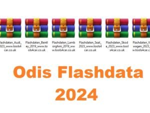 Flashdata database for ERWIN for VAG cars 2024