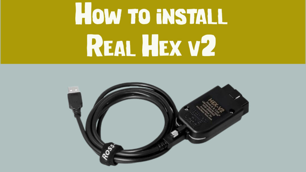 How to install Real Hex v2