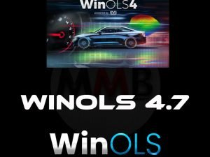 Winols 4.7+ 93GB WINOLS DAMOS BIG PACK 2020/21