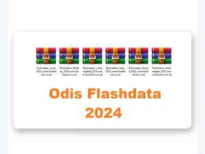 Flashdata database for ERWIN for VAG cars 2024