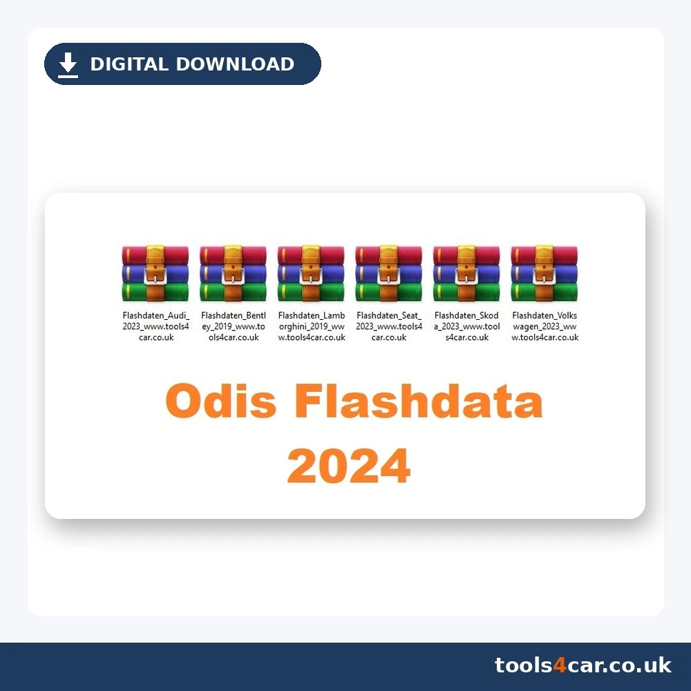 Flashdaten 2024 database for ERWIN for VAG cars – digital download