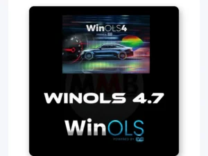 Winols 4.7+ 93GB WINOLS DAMOS BIG PACK 2020/21